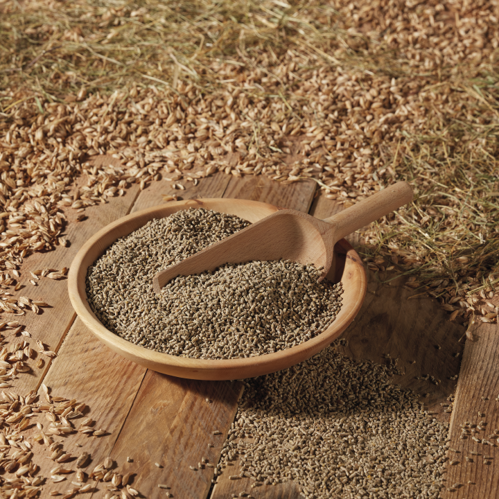 Landleben Bio Kükenstarter